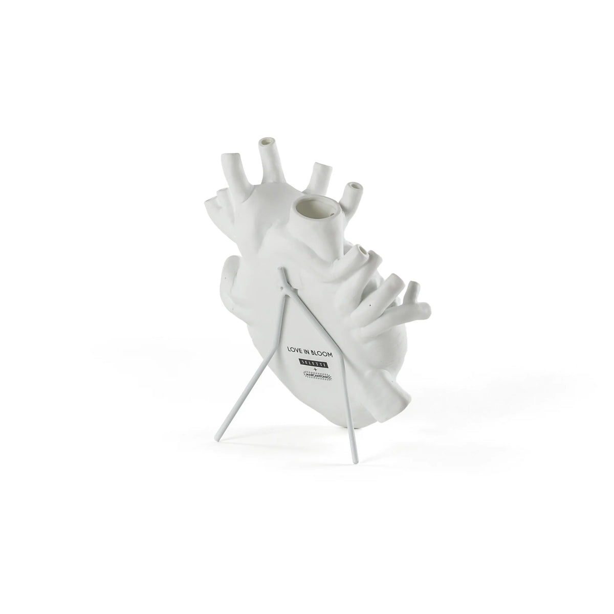 Love in Bloom Branco