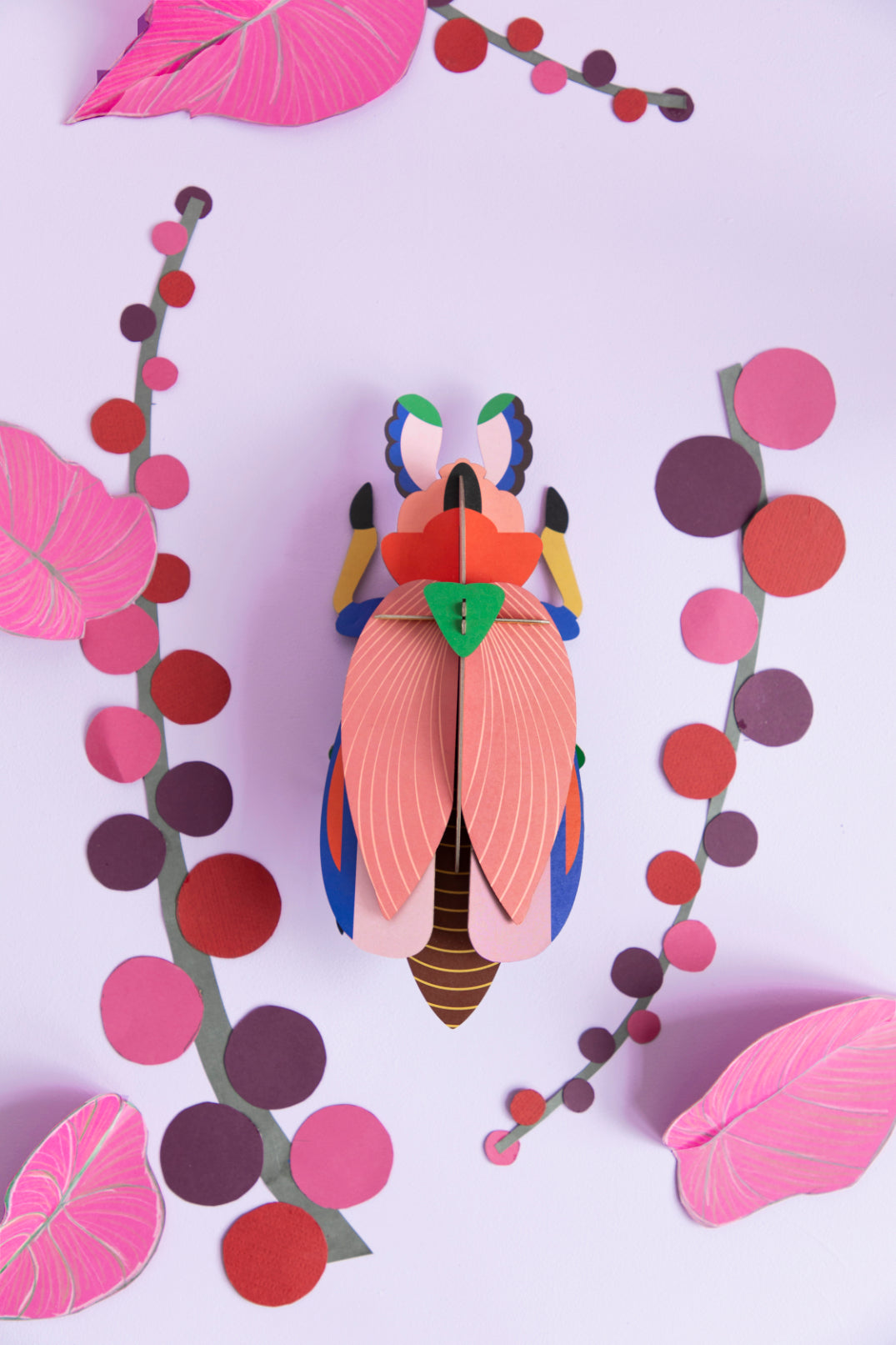 Giant Lady Beetle