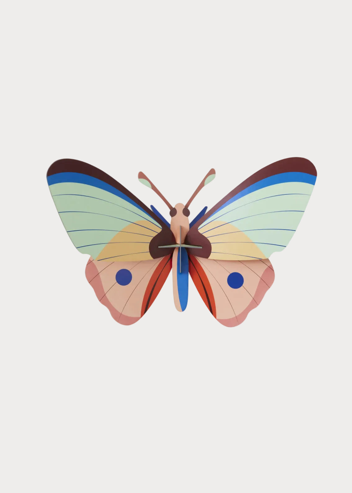 Cattleheart Butterfly