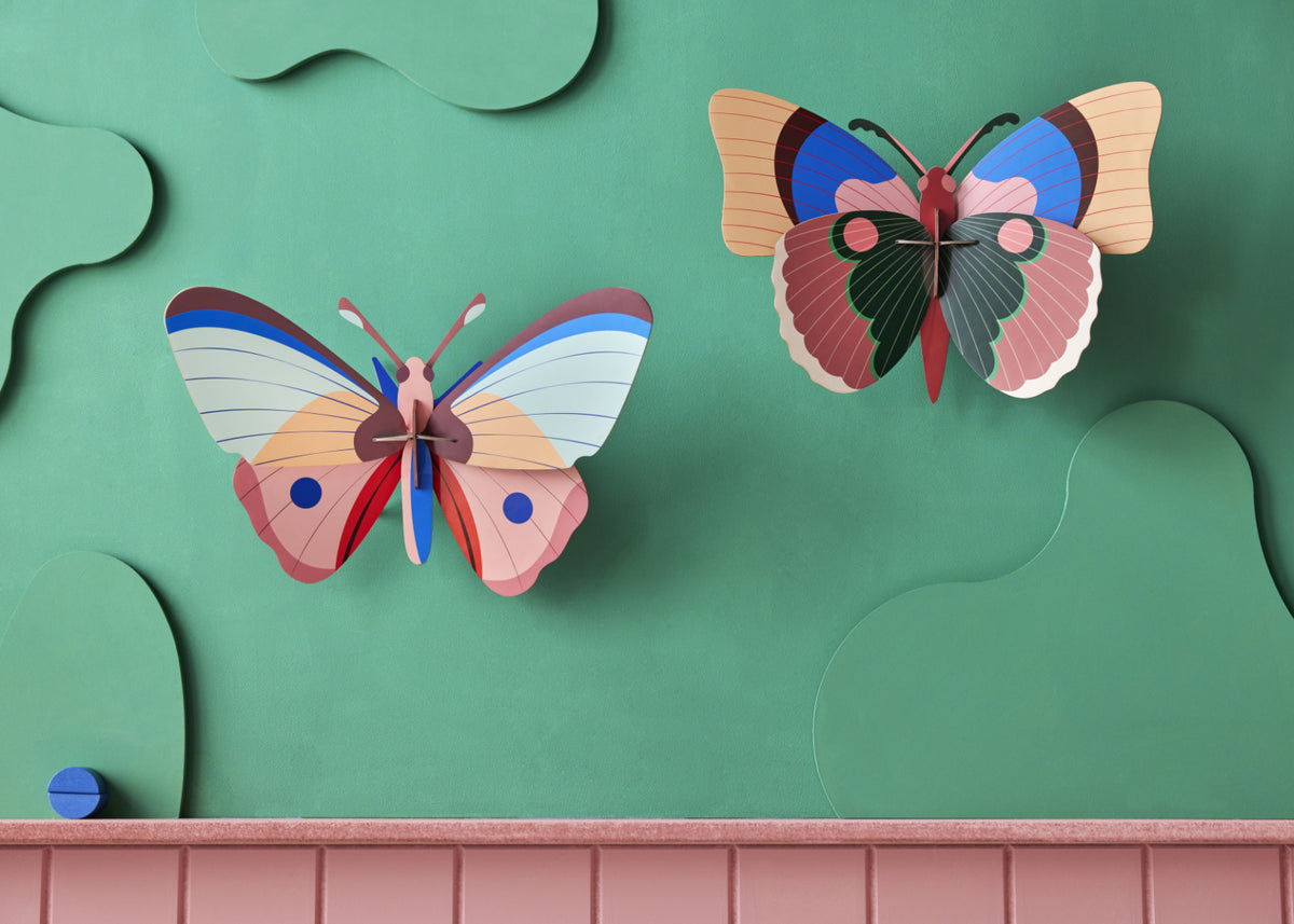 Cattleheart Butterfly