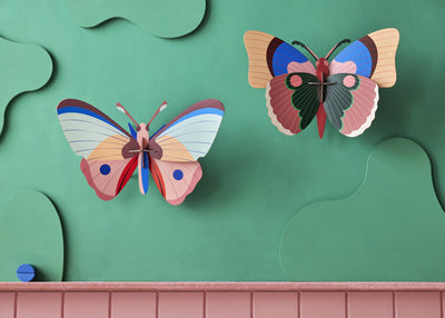 Cattleheart Butterfly