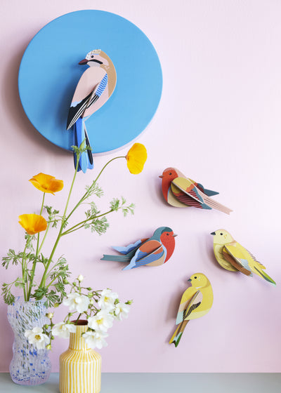 Robins