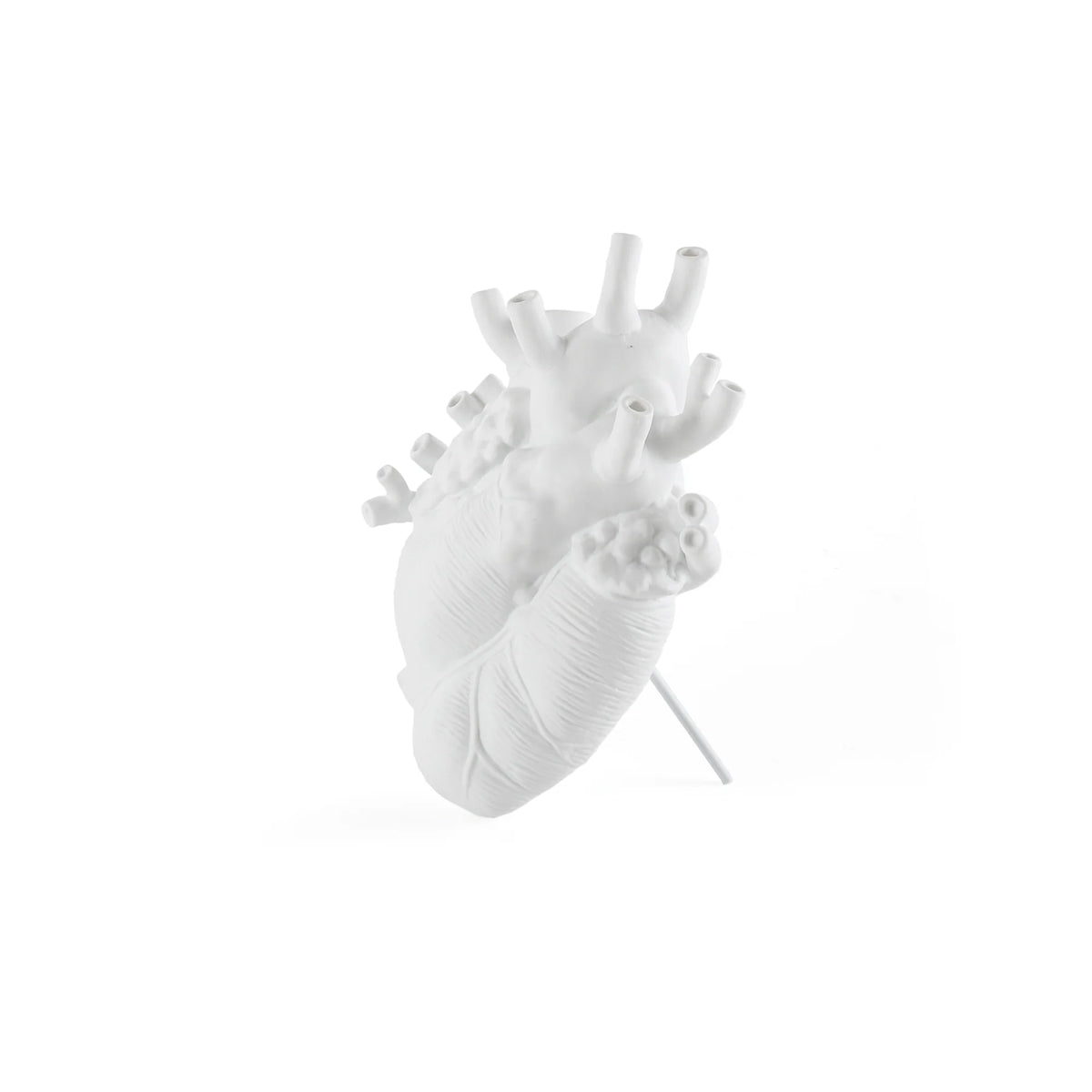 Love in Bloom Branco