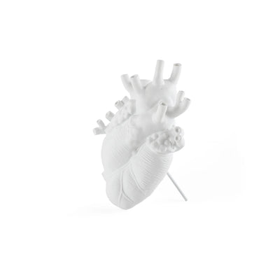 Love in Bloom Branco