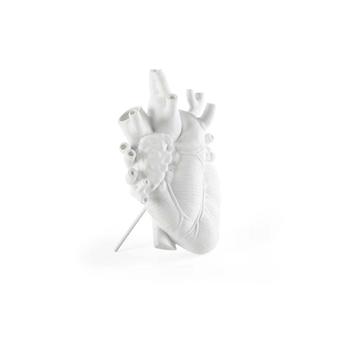Love in Bloom Branco